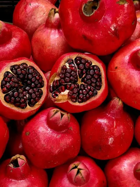 نگهداری درخت خرمالو و کنترل آفات