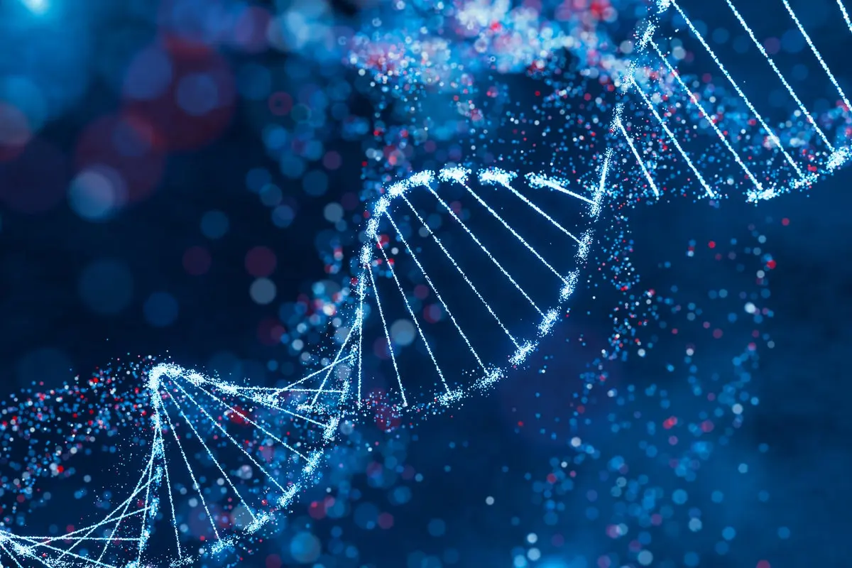 مودل سه‌بعدی مارپیچ DNA که نشان‌دهنده ساختار ژنتیکی است