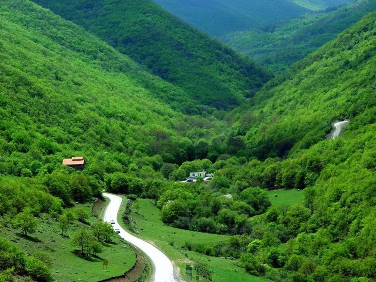جنگل‌های سرسبز ارسباران در آذربایجان شرقی