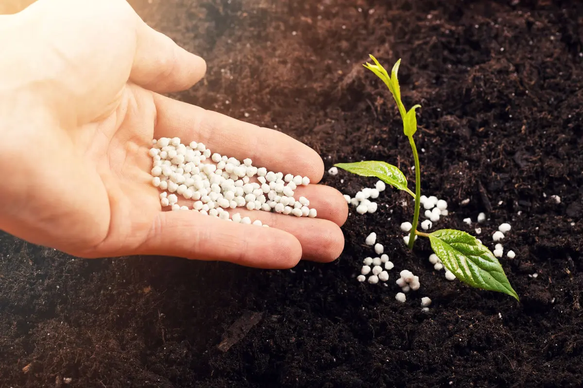 چگونگی انتخاب کود مناسب برای گیاهان