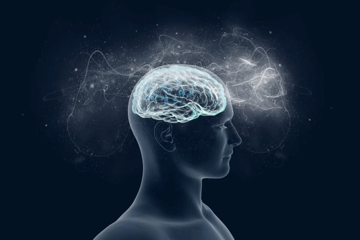 برای بل از خواب ذهن را برای استراحت آماده کنیم چه کنیم؟ چطور بهترین انتخاب را داشته باشیم؟