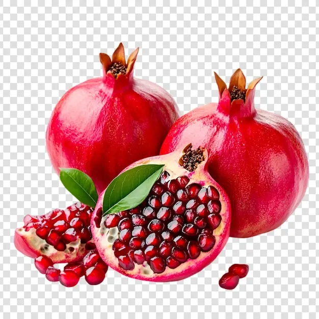 انار چگونه کاشته و نگهداری می‌شود؛ یک راهنمای کامل برای تصمیم بهتر