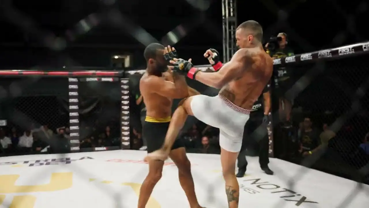 مبارزان MMA در حال تمرین