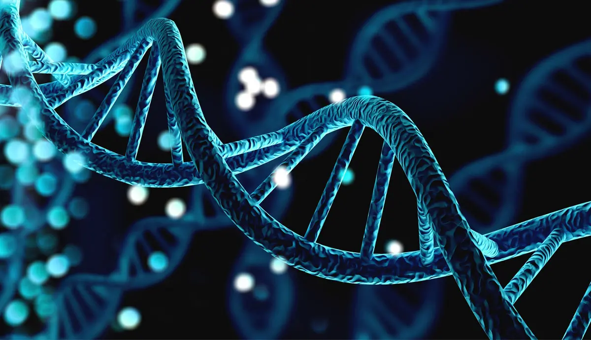 DNA چیست و چه نقشی در بدن دارد؛ راهنمای ساده برای شروع