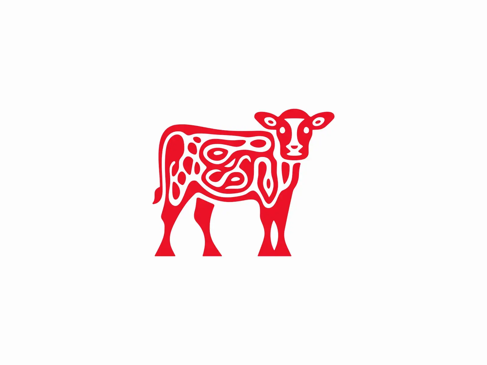 پرواربندی گوساله چگونه انجام می‌شود؛ بررسی نکات و جزئیات مهم