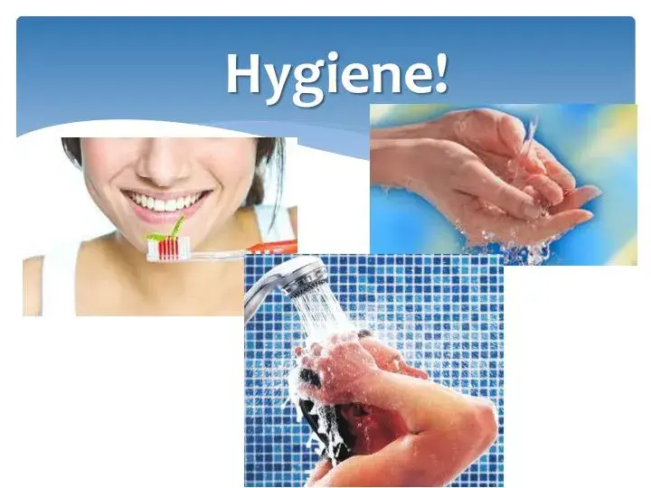 پاکیزگی و سازماندهی صحیح مواد غذایی در یخچال به عنوان بخشی از بهداشت غذایی